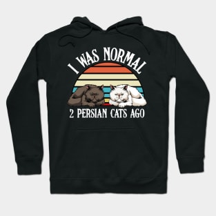 Persian Cat - I Was Normal 2 Persian Cats Ago - Cat Lover Saying Hoodie